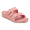 Arizona Kids Eva