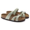 Franca Soft FootbedN Pelle nabuk Matcha Franca Soft FootbedN Pelle nabuk Matcha