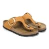 Gizeh Big Buckle in pelle nabuk Gizeh Big Buckle in pelle nabuk