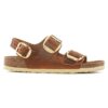 Milano Big Buckle in pelle naturale oliata