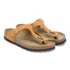 Pelle Nubuck Gizeh Pelle Nubuck Gizeh